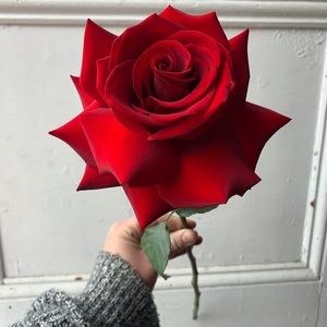 Meet your Posher, Emily